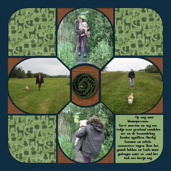 Giethoorn layouts (page 16)Lea France Celtic Knot 2
