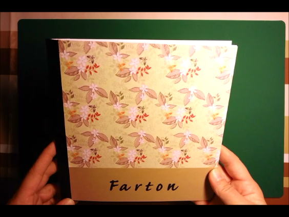 mini album